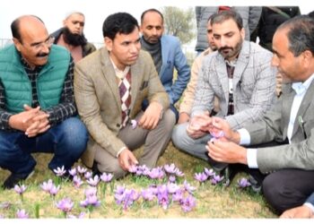 Saffron harvesting season: Div Com Kashmir visits IIKSTC, reviews it’s functioning