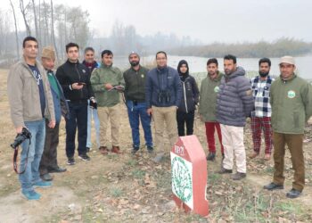 Migratory Birds Transform Pampore Wetlands into a Vibrant Sanctuary