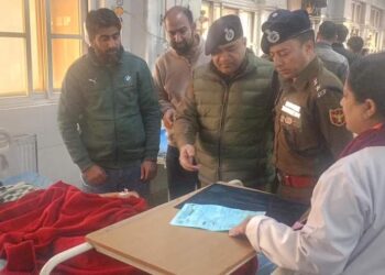 IGP Kashmir and DC Srinagar Visit Grenade Attack Victims, Vow Action and Support