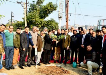 JK has most productive Forests of India; reports ISFR 2023