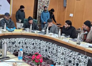 Javed Rana Reviews Development Plans for Pulwama
