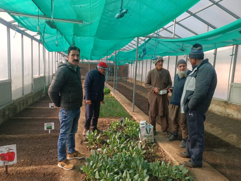 Director Agriculture visits Hi-tech Poly Houses at Tahab in Pulwama district 1 1000191127