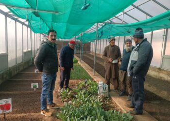 Director Agriculture visits Hi-tech Poly Houses at Tahab in Pulwama district