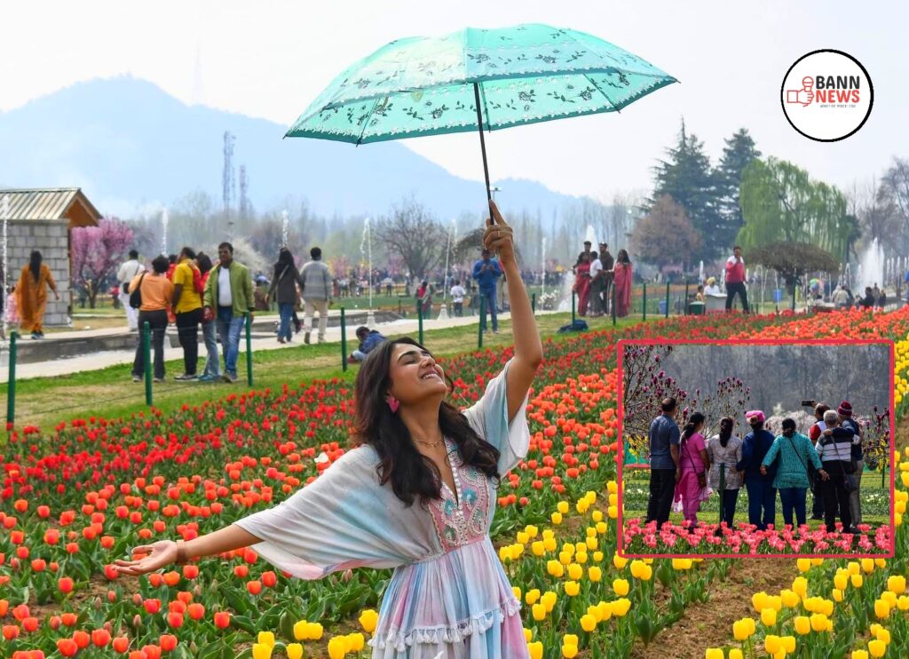 Tulip Garden Srinagar: A Must-Visit Spring Wonderland 1 1000285052