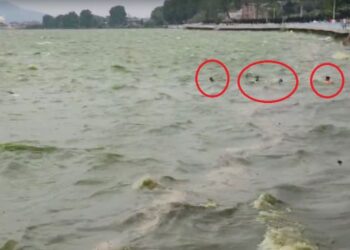 Boat capsize: Body of m!ssing youth recovered from Dal Lake