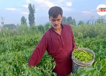 DDC Kulgam Encourages Progressive Farmer Under HADP